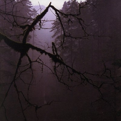 Controlled Bleeding/Poisoner